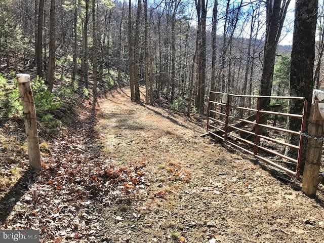 0 Roy Hyre Hollow Rd unit WVGT2000174, Petersburg, WV 26847 - photo 1