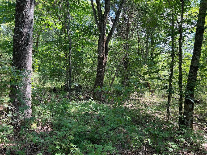 0 5 49 Acres On Meadow Creek Dr, Harrison, AR 72601 - photo 1