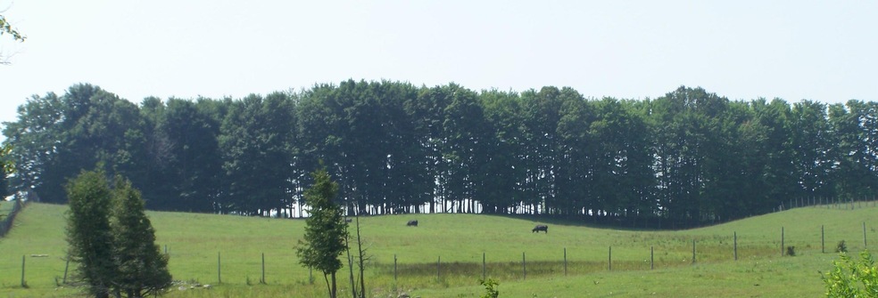Pasture View 2, from I-75