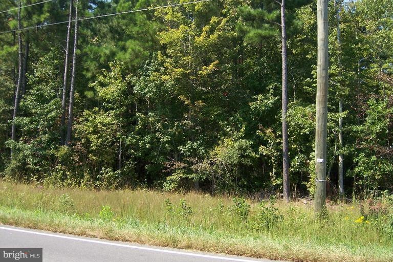 0 James Monroe Hwy unit 1000408443, Colonial Beach, VA 22443 - photo 1