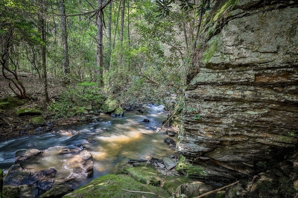 LOT 3 Jakes Landing, Ellijay, GA 30540 - photo 1