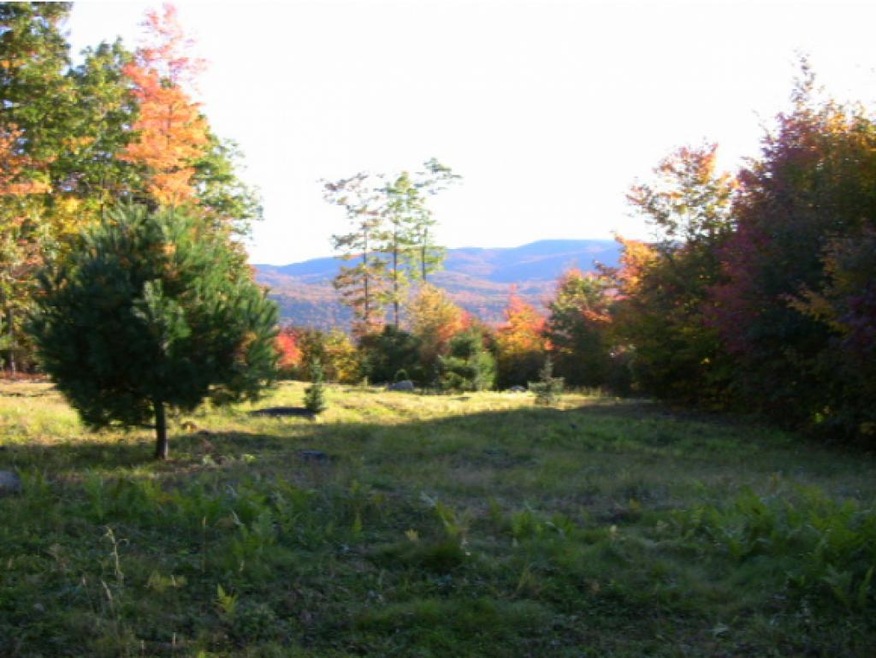 0 Sculptured Rocks Rd unit Lot 6 4509089, Groton, NH 03241 - photo 1