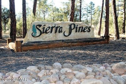 1825 S Pleasantview Dr, Show Low, AZ 85901 - photo 1