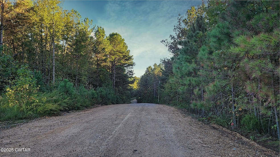 1 Falcon View Dr, Cedar Grove, TN 38388 - photo 1