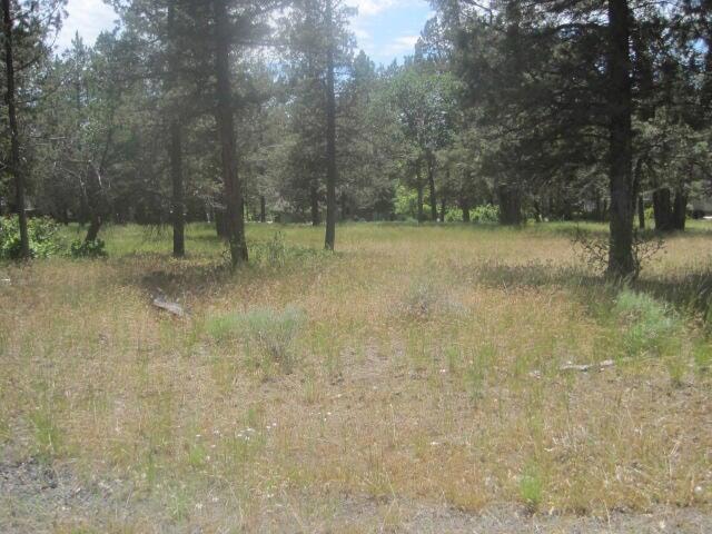 For Sale $49,000