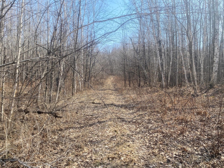 ON Up River Rd, Phillips, WI 54555 - photo 1