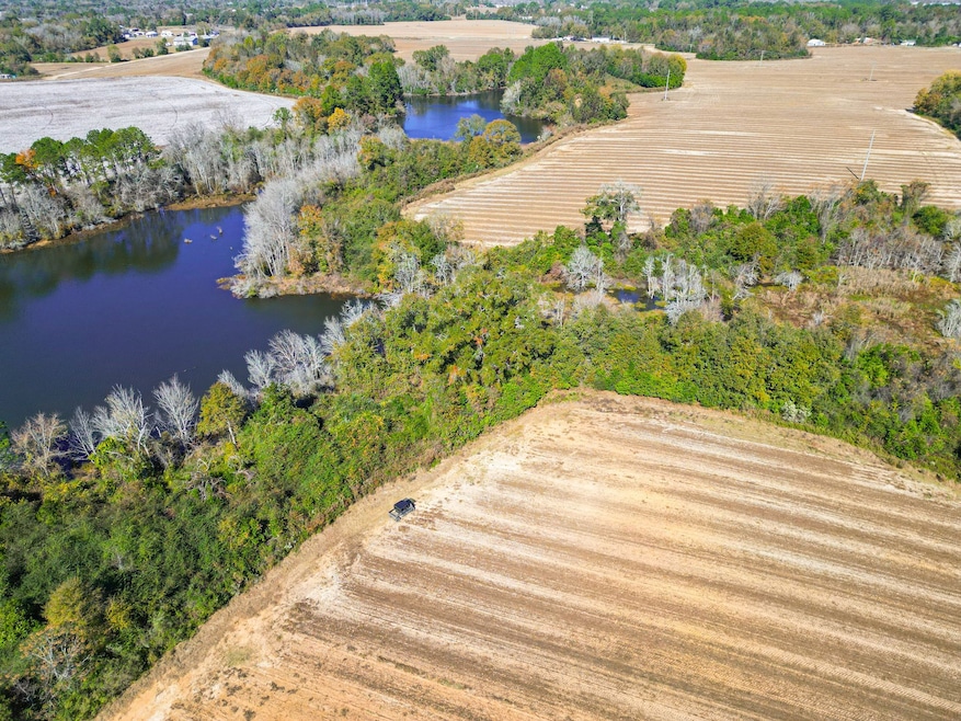 547 Joe Lawrence Rd, Ashburn, GA 31714 - photo 1