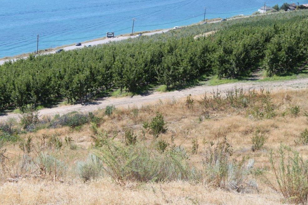 0 Makai Rd unit 672041, Chelan, WA 98816 - photo 1