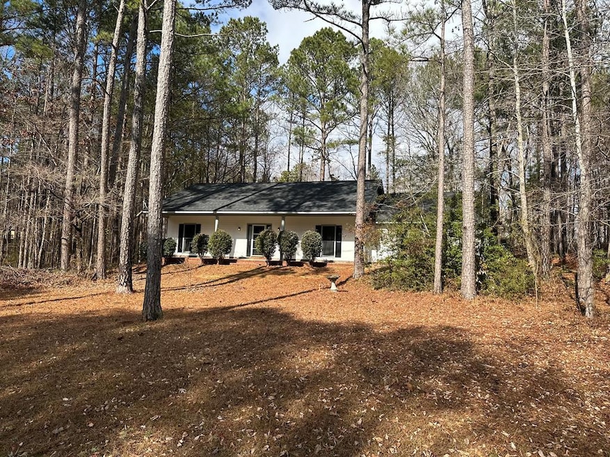 Main View