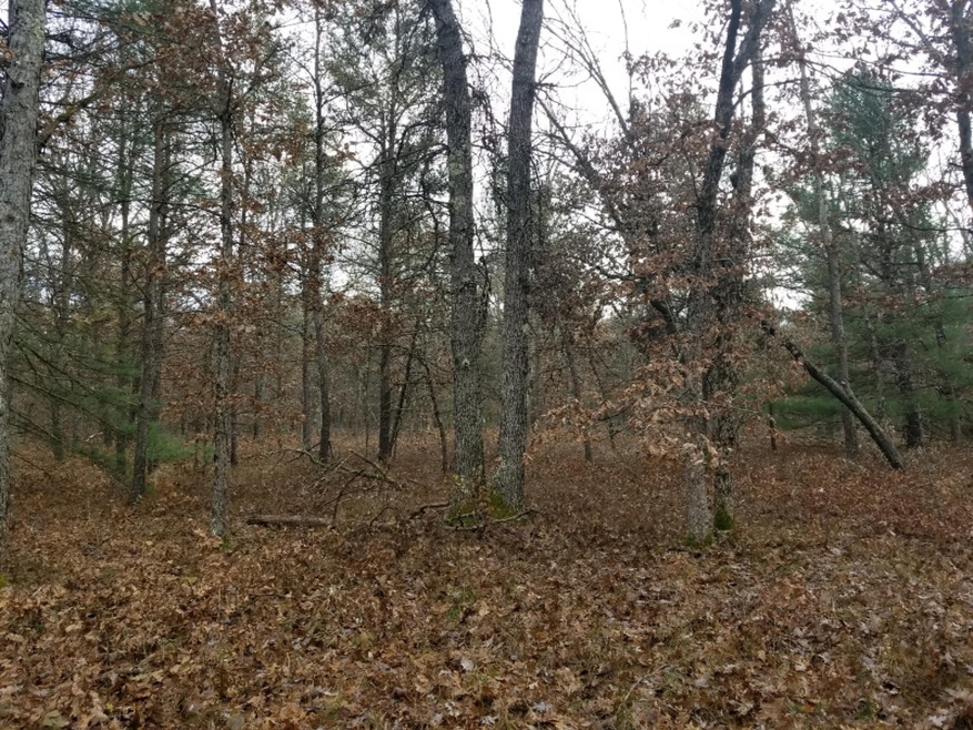 VL Par 2 W 8th St, Baldwin, MI 49304 - photo 1