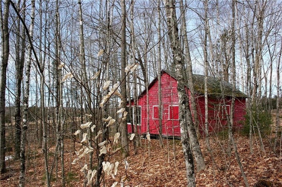 Wide angle showing cabin's lot...