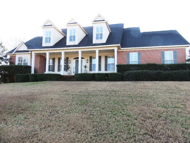 Main View