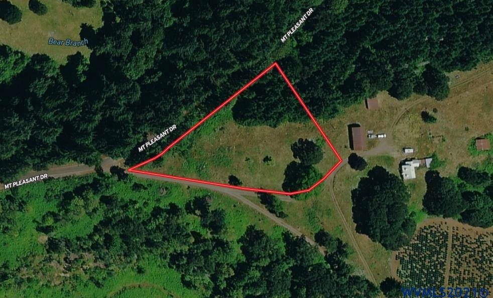 42820 Mount Pleasant (Next To 2) Dr, Scio, OR 97374 - photo 1