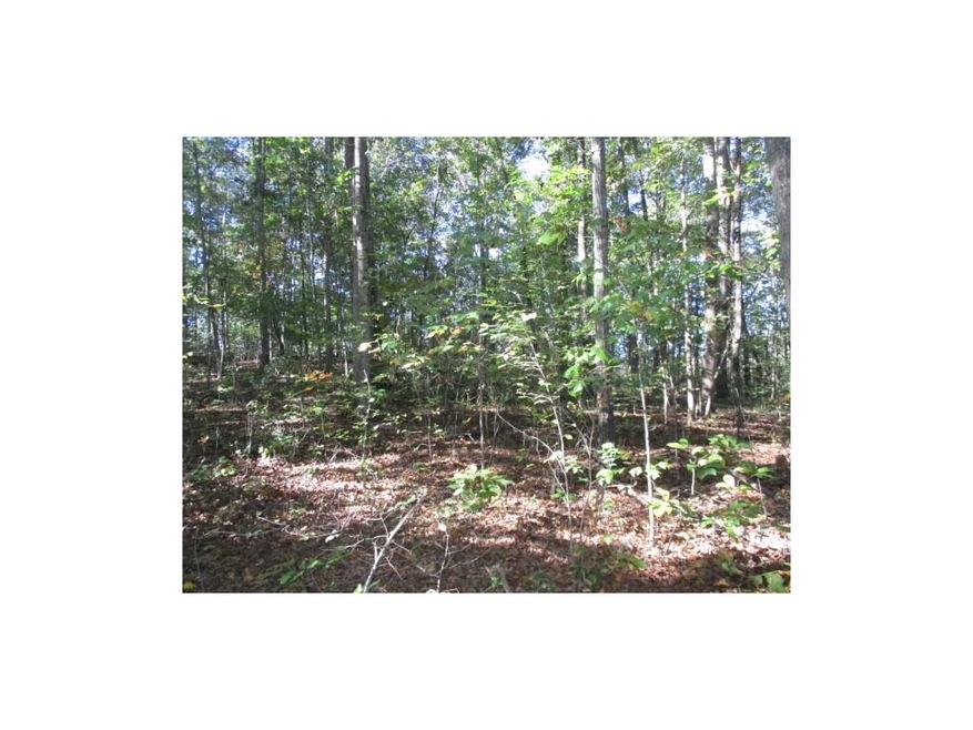 1359 Old Mill Rd, Ball Ground, GA 30107 - photo 1