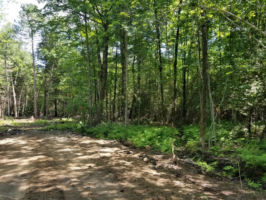 Map 13-3 Lot 16-1 Loring Hill Rd, Buckfield, ME 04220 - photo 1