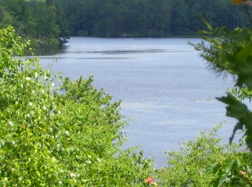 119 Pecks Pond Rd, Dingmans Ferry, PA 18328 - photo 1