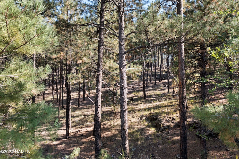 6040 W Saskan Ranch Cir, Flagstaff, AZ 86001 - photo 1