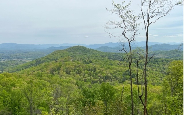 Main View
