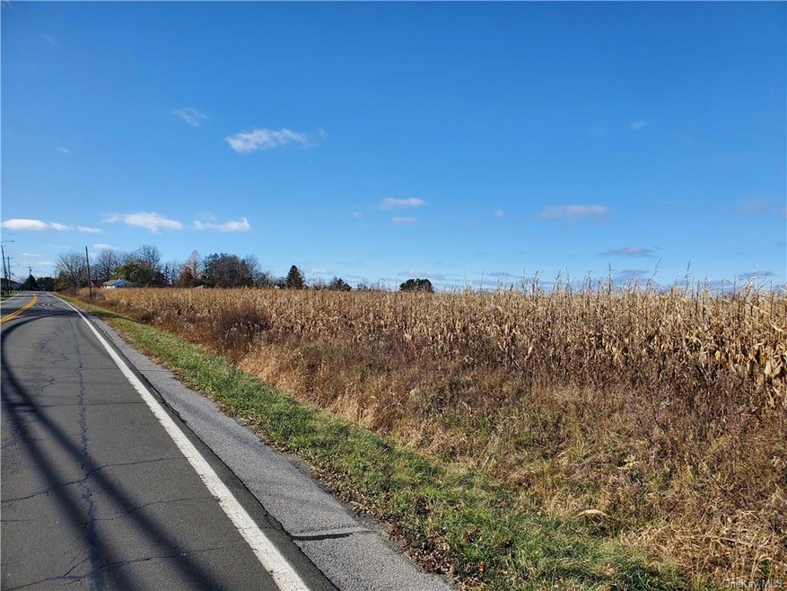 859 Silver Lake Sctn Rd, Wallkill, NY 10941 - photo 1