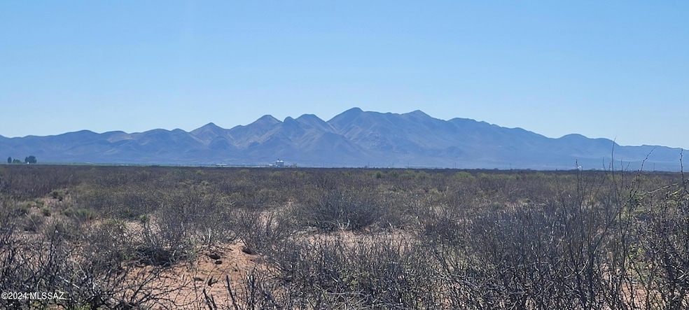 Chiricahua mountains to east of property