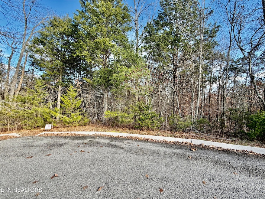 0 Divot Place unit 1323315, Tazewell, TN 37879 - photo 1