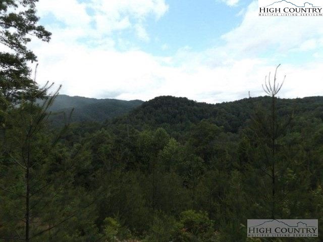 7 Wagon Ridge Rd, Ferguson, NC 28624 - photo 1