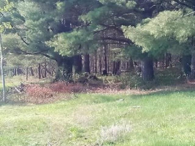 0 Redfield Rd, Barton, VT 05822 - photo 1