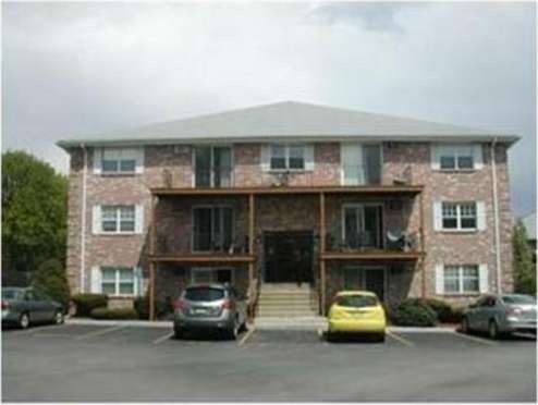 3 Karen Cir unit 19, Billerica, MA 01821 - photo 1