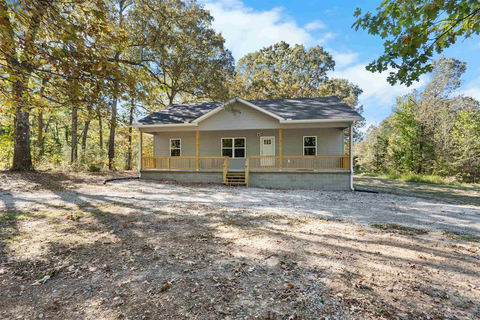2981 Bonetown Rd, Melbourne, AR 72556 - photo 1