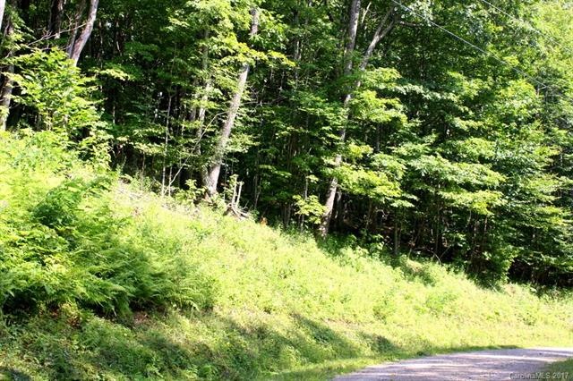 331 Hamlin Ln unit 331, Mars Hill, NC 28754 - photo 1