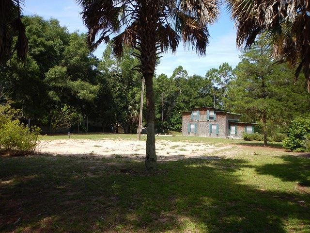 Main View