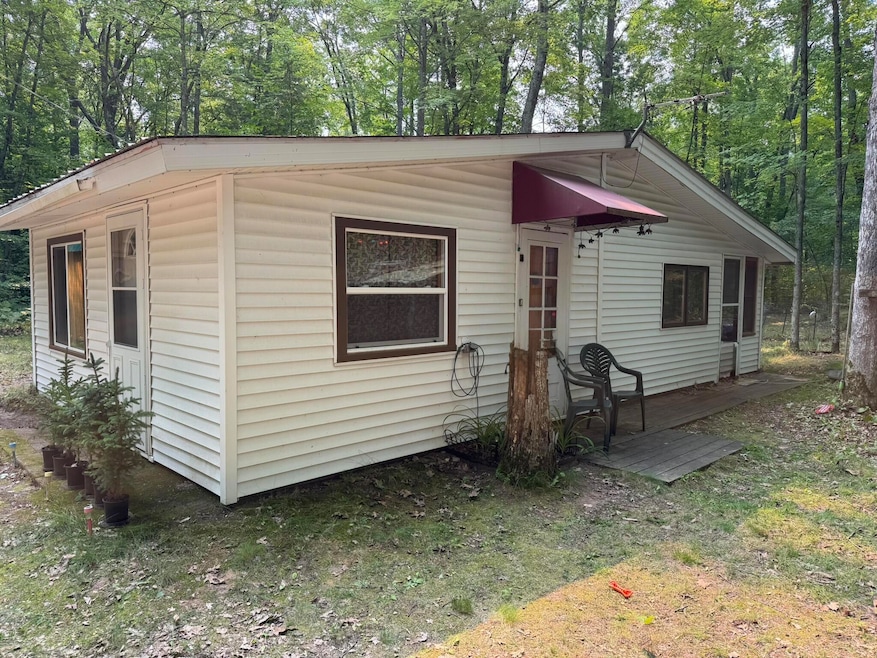 16253 Caberfae Hwy, Wellston, MI 49689 - photo 1