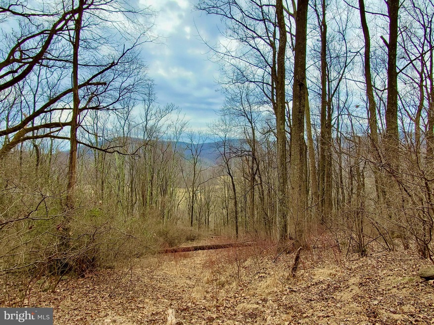 0 Harris Hollow Rd unit VARP107798, Washington, VA 22747 - photo 1