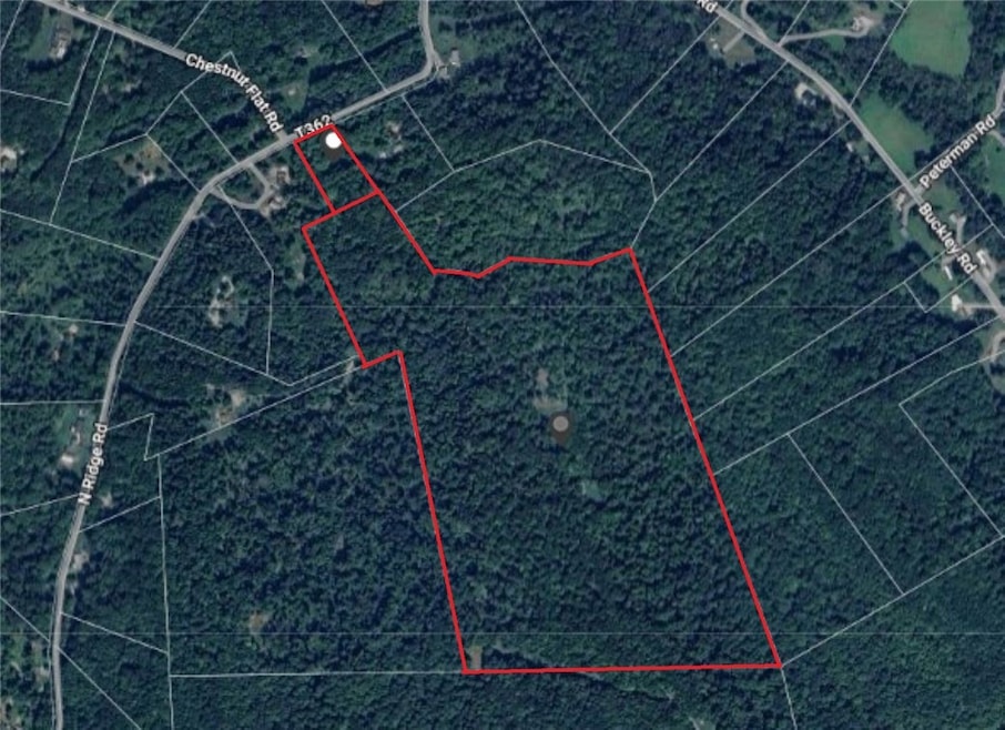 0 N Ridge Rd unit 1720486, Shelocta, PA 15774 - photo 1