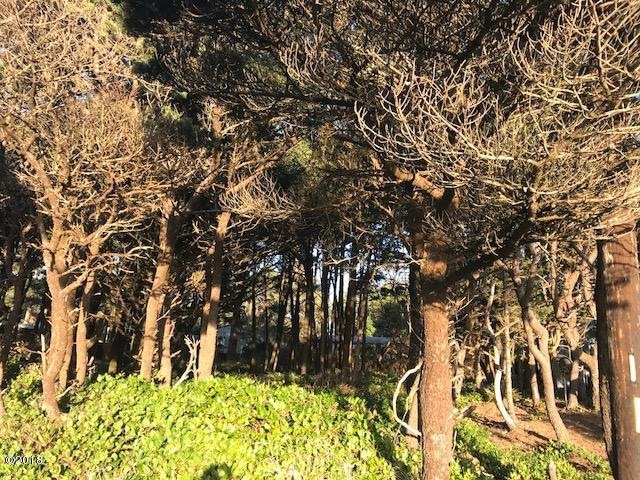 Wooded Lot