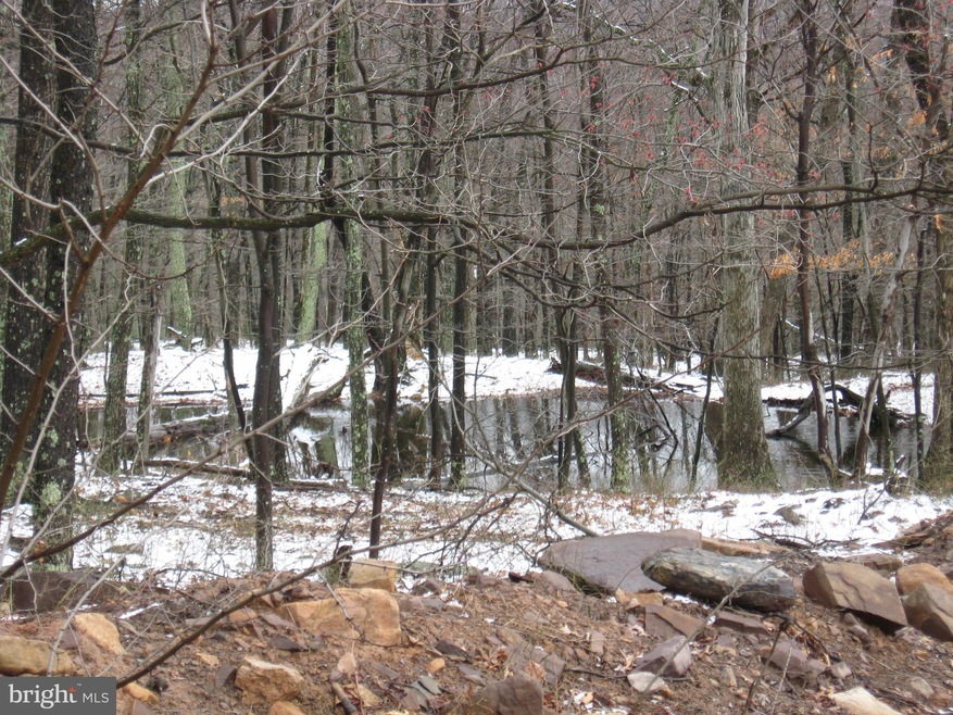 0 Off Cold Run Valley Rd unit 1000289098, Berkeley Springs, WV 25411 - photo 1