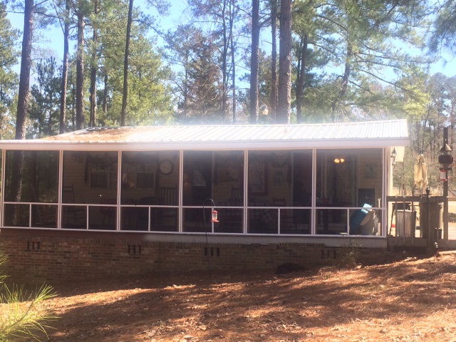 Main View