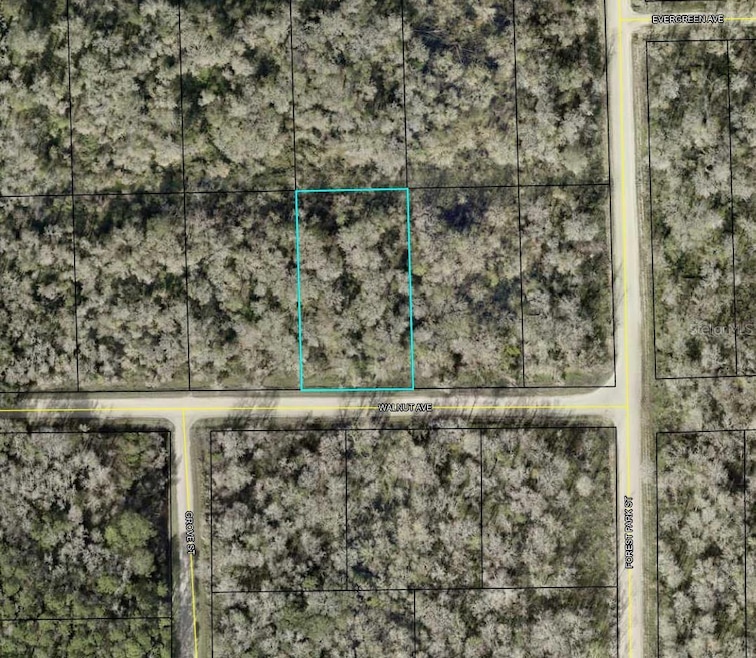 4030 Walnut Ave, Bunnell, FL 32110 - photo 1