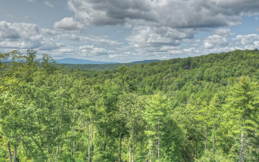 50 AC Lowery Rd, Morganton, GA 30560 - photo 1