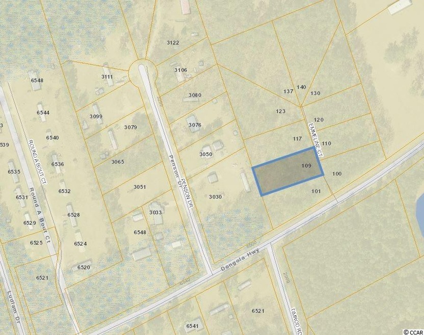 109 Emmeline Ct unit Lot 3, Conway, SC 29527 - photo 1