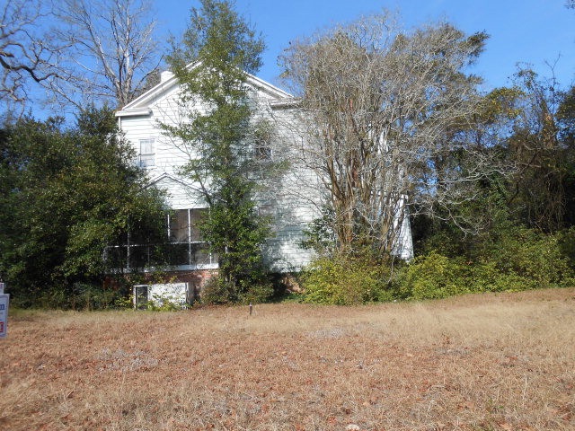 Main View