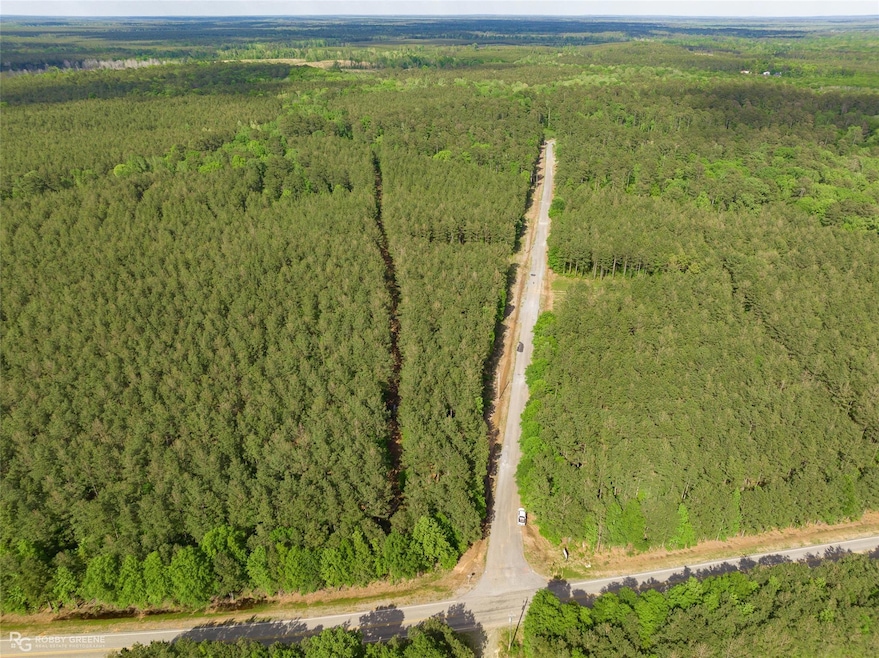 113 Buffalo Rd, Benton, LA 71006 - photo 1