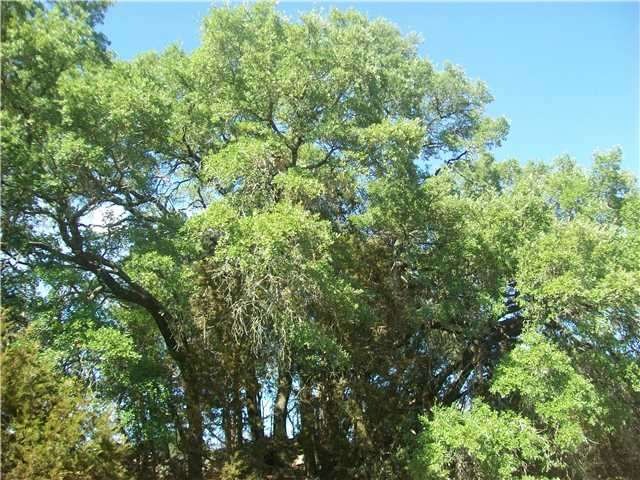 Exterior Front : The lot offers level building sites and much scenic privacy.