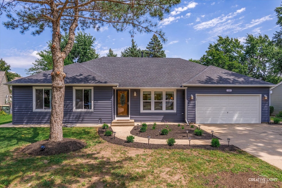 10 Crofton Rd, Oswego, IL 60543 - photo 1