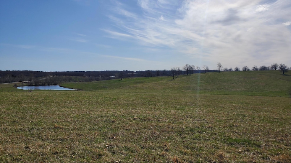 Lot 2 N Farm Road 61, Walnut Grove, MO 65770 - photo 1