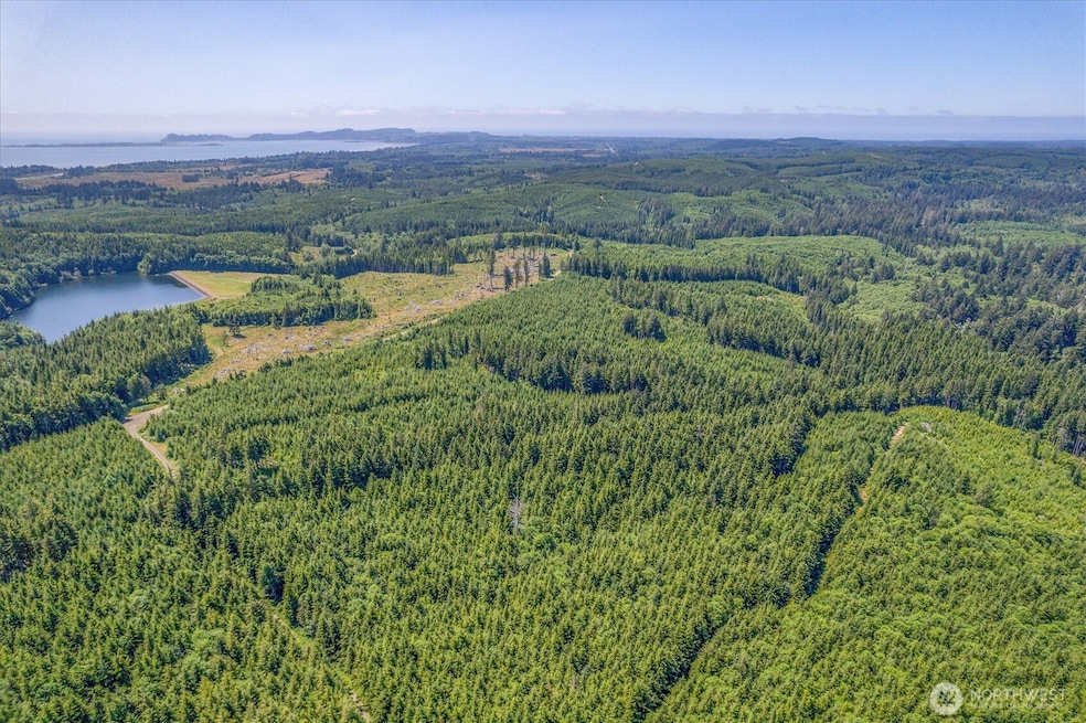 0 Walberg Rd unit NWM2397686, Chinook, WA 98614 - photo 1