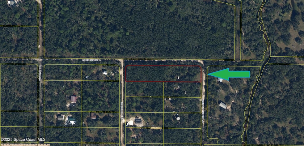2006 SW Blossom Rd, Arcadia, FL 34266 - photo 1
