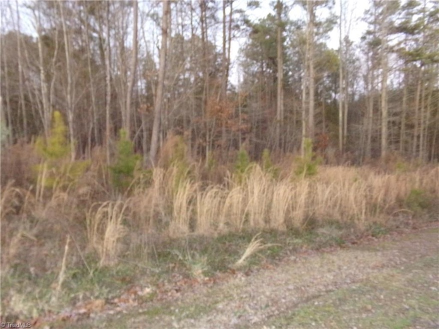 Tract 6 E Fork Dr, Seagrove, NC 27341 - photo 1