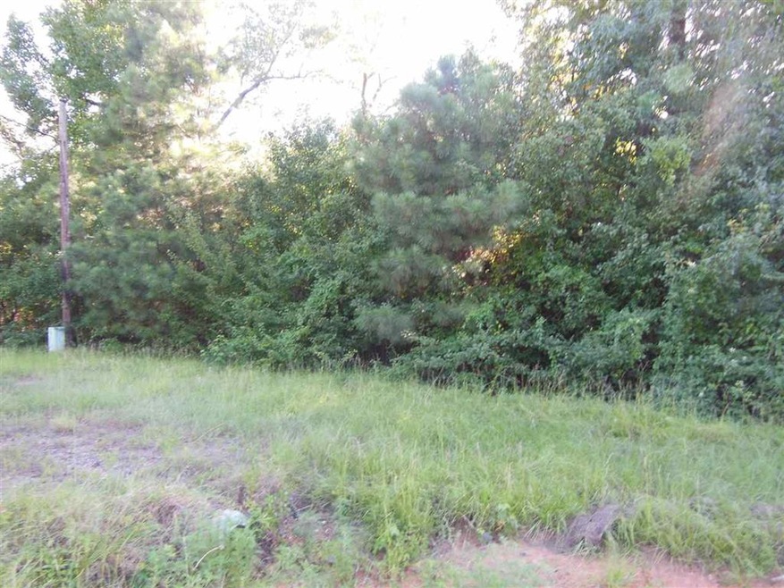 0 Houff Ln, Texarkana, TX 75501 - photo 1