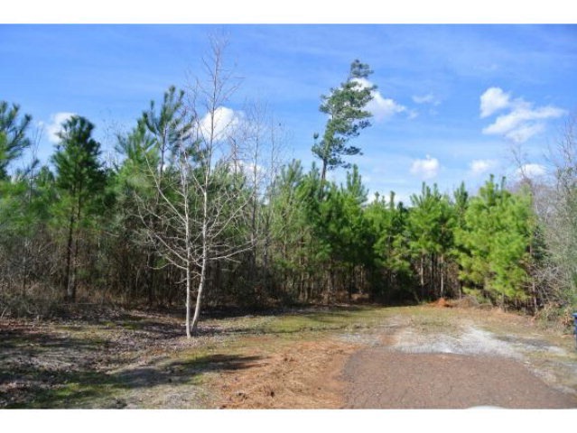 0 Woodland Oaks Dr unit 2190110, Garrison, TX 75946 - photo 1